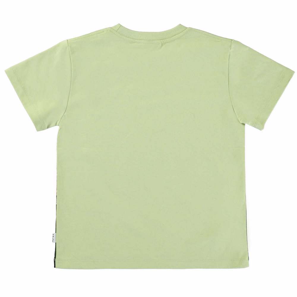 Molo Rame Short Sleeve T-shirt -  Dino Earth