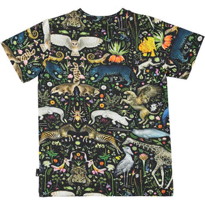 Molo Ralphie Short Sleeve T-shirt -  Faunatastic