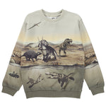 Molo Miksi Sweatshirt - Dry Land Dinos
