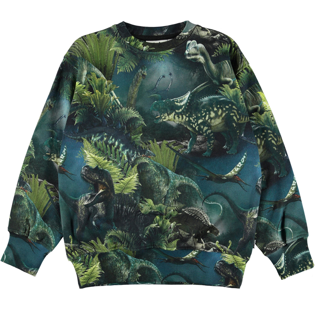 Molo Mattis Sweatshirt - Dino Night