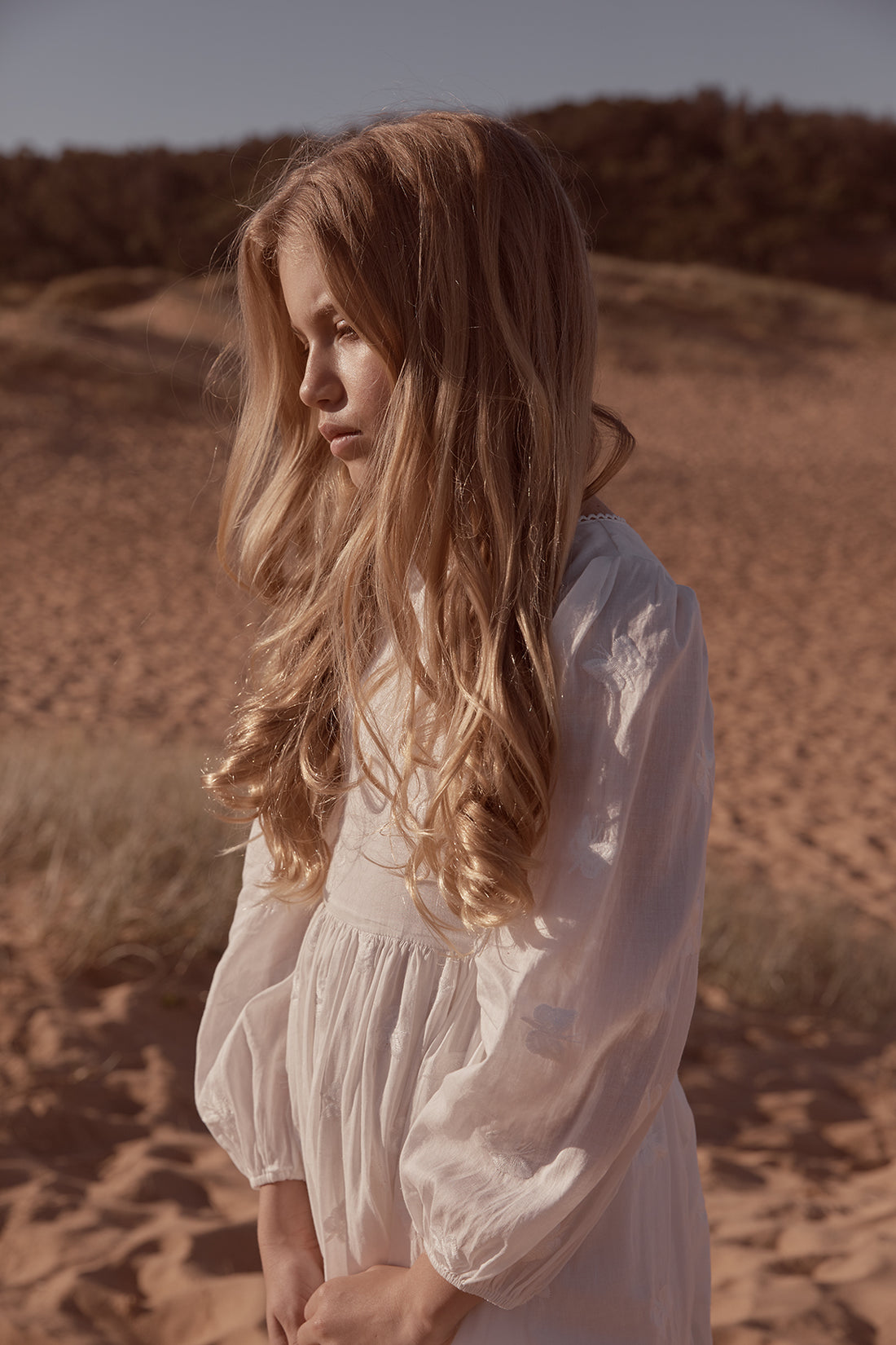 Petite Amalie Embroidered Butterfly Dress - White