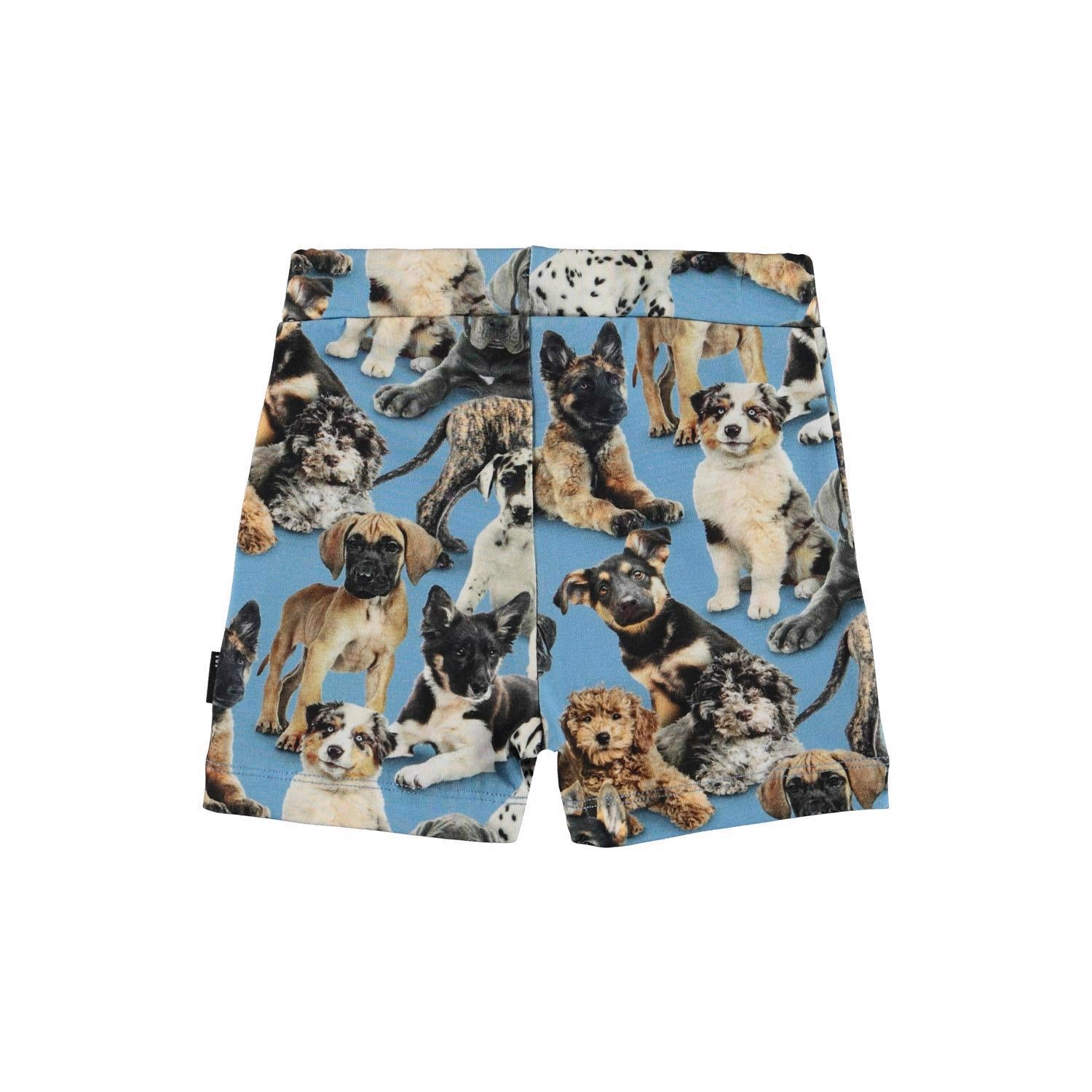 Molo Simroy Shorts - Pups