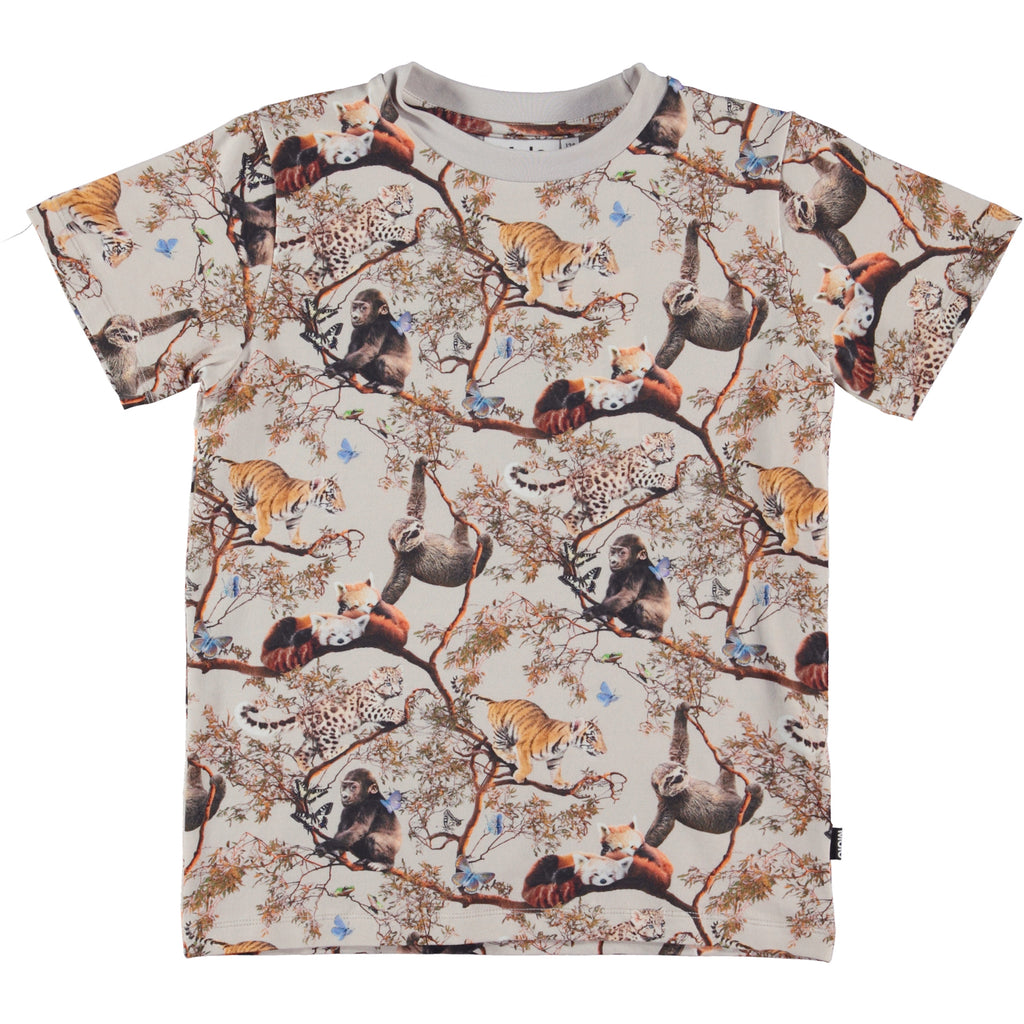 Molo Ralphie Shirt - Cubs Harmony