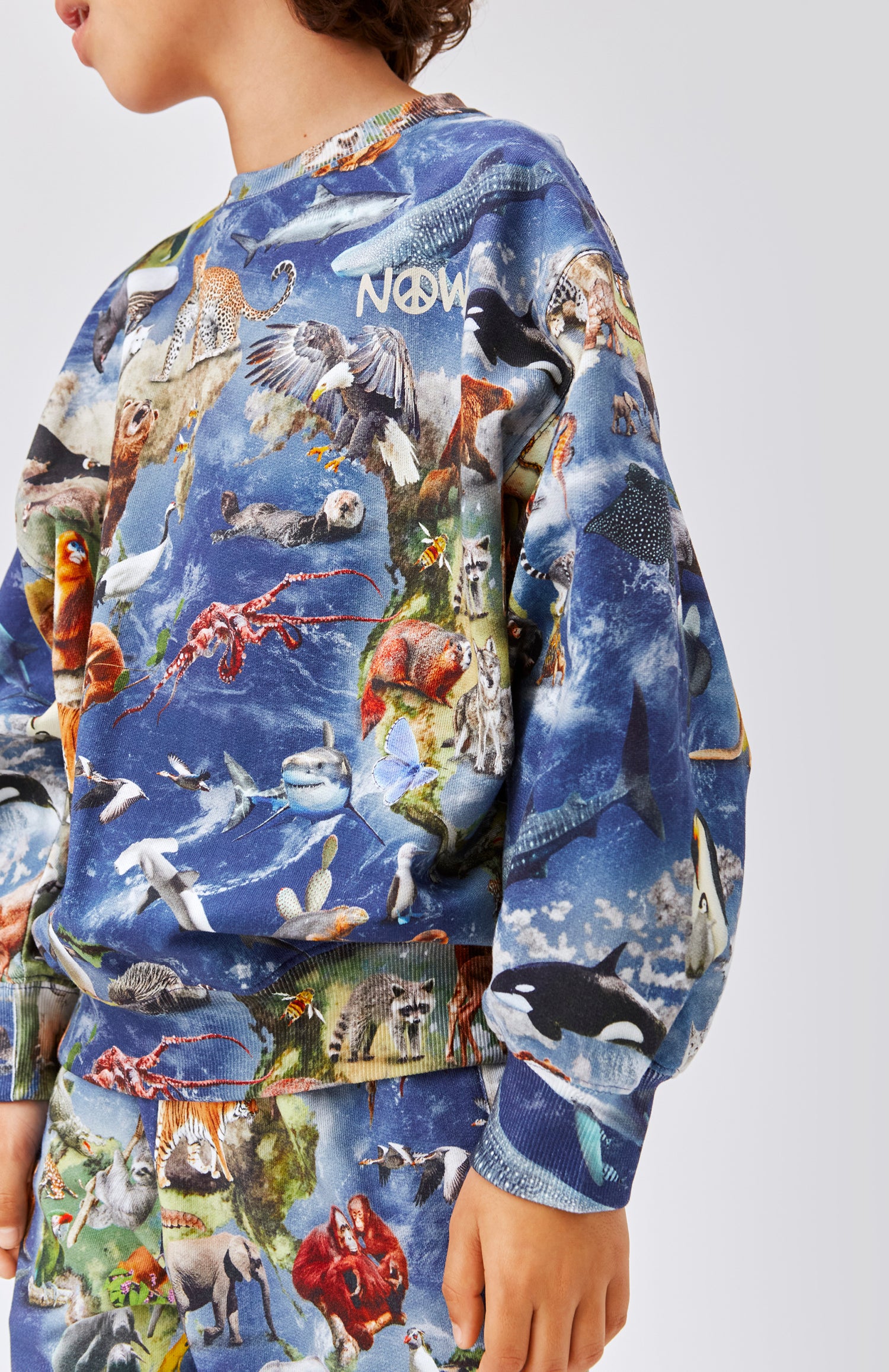 Molo Monti Sweatshirt - Amazing Earth