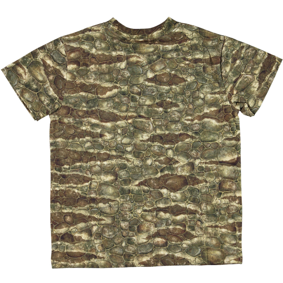 Molo Roxo T-Shirt - Dino Texture
