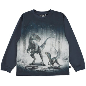 Molo Rube L/S T-Shirt - Blue & Beta