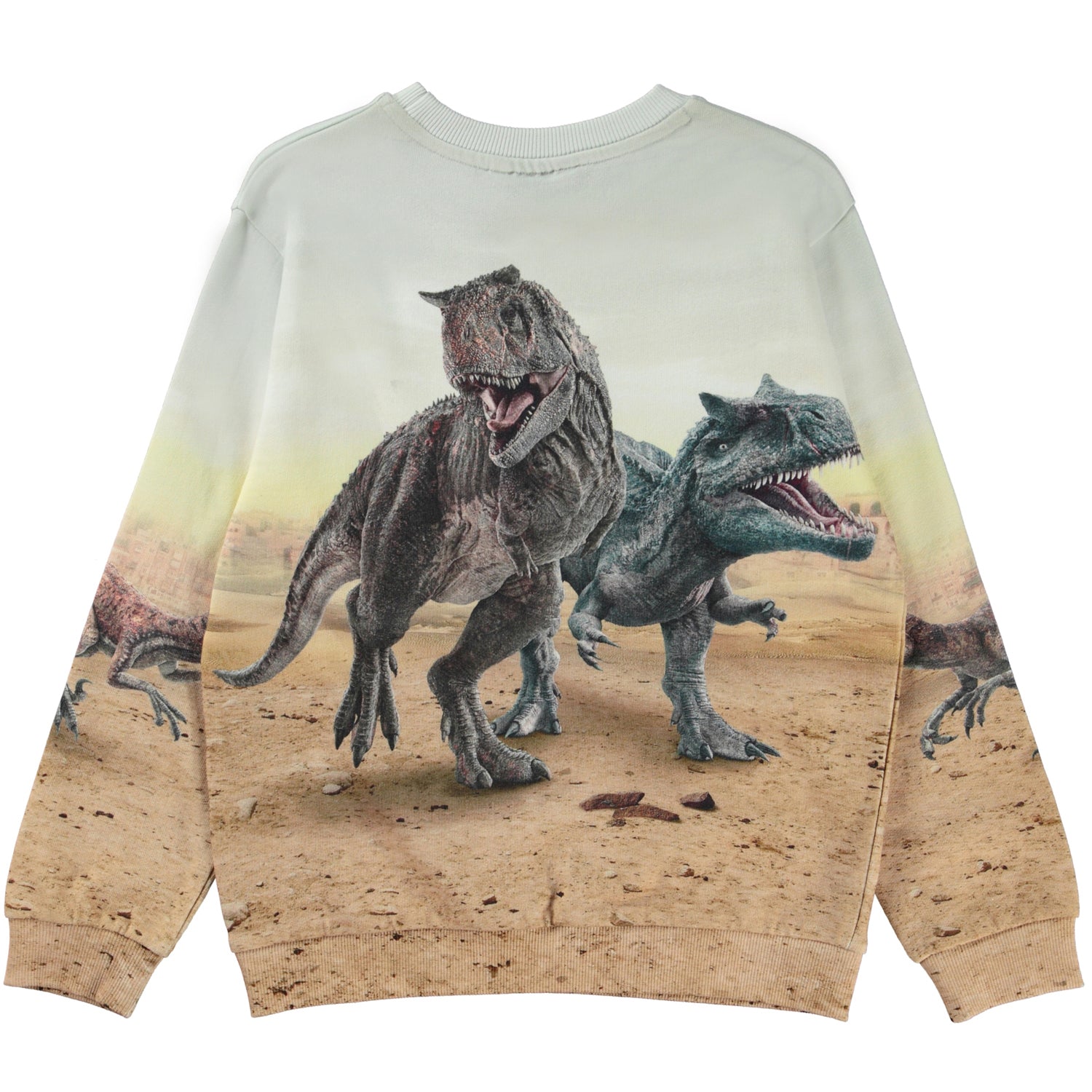 Molo Miksi Sweatshirt - Dinos Galore