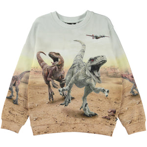 Molo Miksi Sweatshirt - Dinos Galore