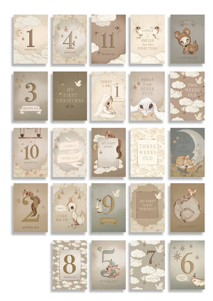 Mrs. Mighetto Baby's First Year Cards