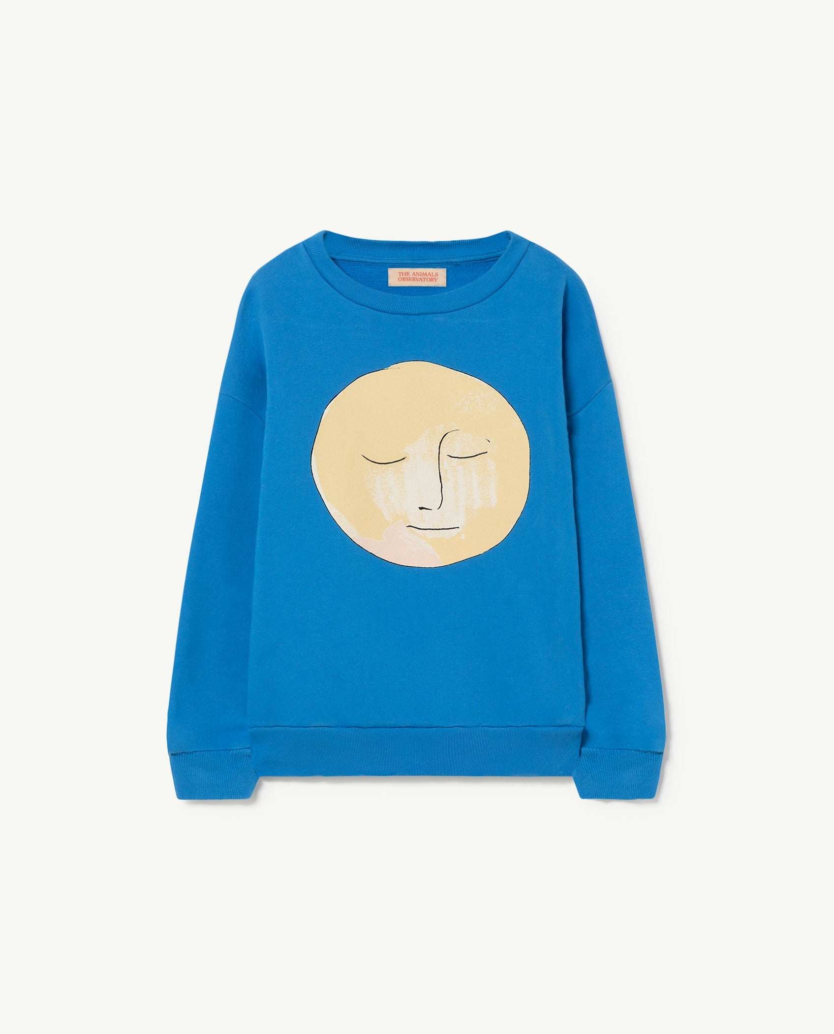 Observatory sweatshirt hot sale
