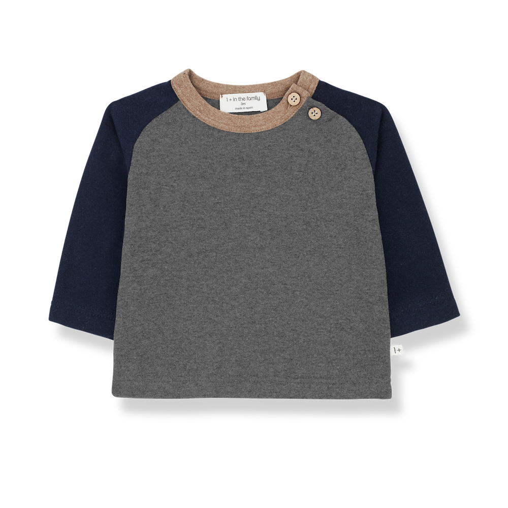 1 + In The Family Guim T-Shirt - Grey