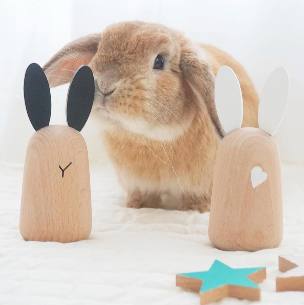 Kiko & GG Usagi Bunny Chimes