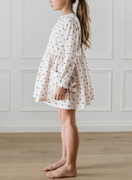 Petite Amalie Black Embroidered Dot Pocket Dress - Rose Water