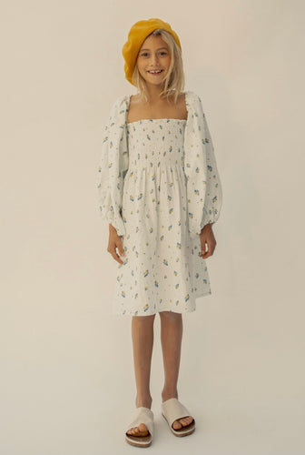 Yoli & Otis Basri Dress - Meadow