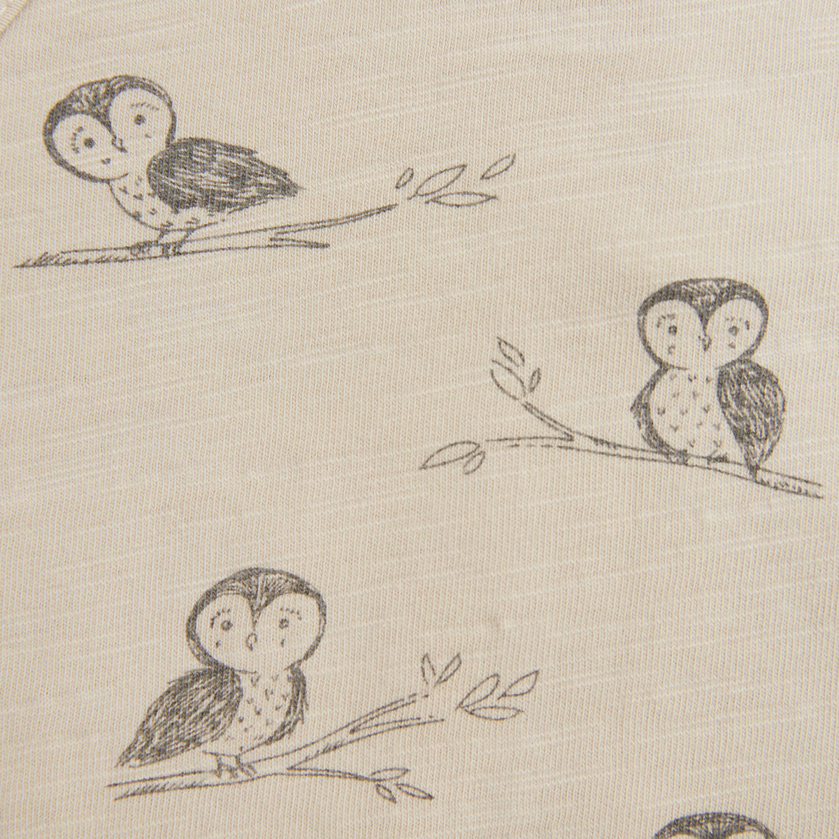 Rylee + Cru Long Sleeve Tee - Owls